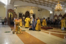 IMG_7401.jpg